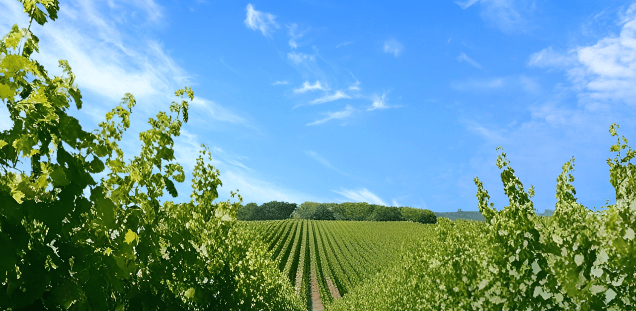 April 2025 Napa Real Estate Snapshot