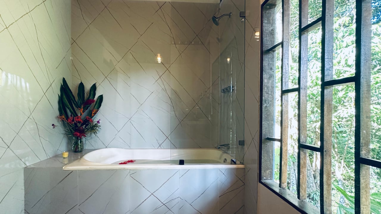 Breeze, Trees, and Monkeys - Your Affordable Costa Rican Haven