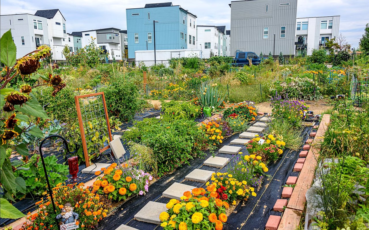 Best Neighborhoods in Denver, CO