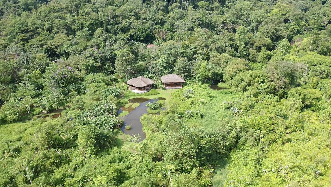 60 Acre Fully Sustainable and Impactful Conservation Initiative Near Golfito