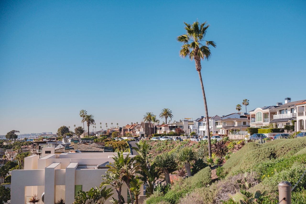Coastal neighborhood homes on a hillside, with a tall palm tree rising above the rooftops.