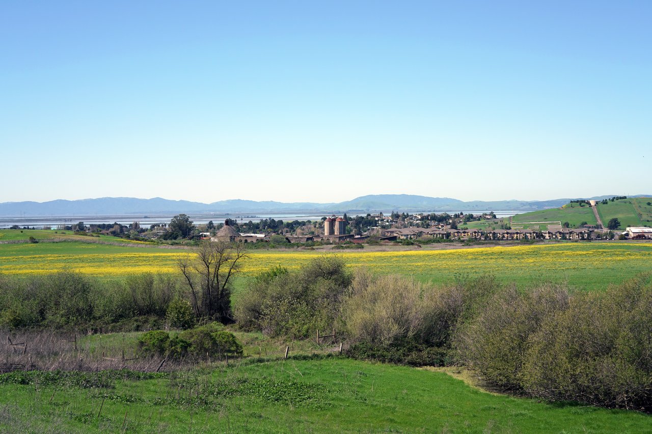 American Canyon