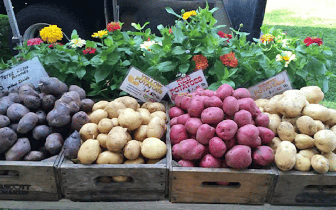 How to Live Greener in the Berkshires