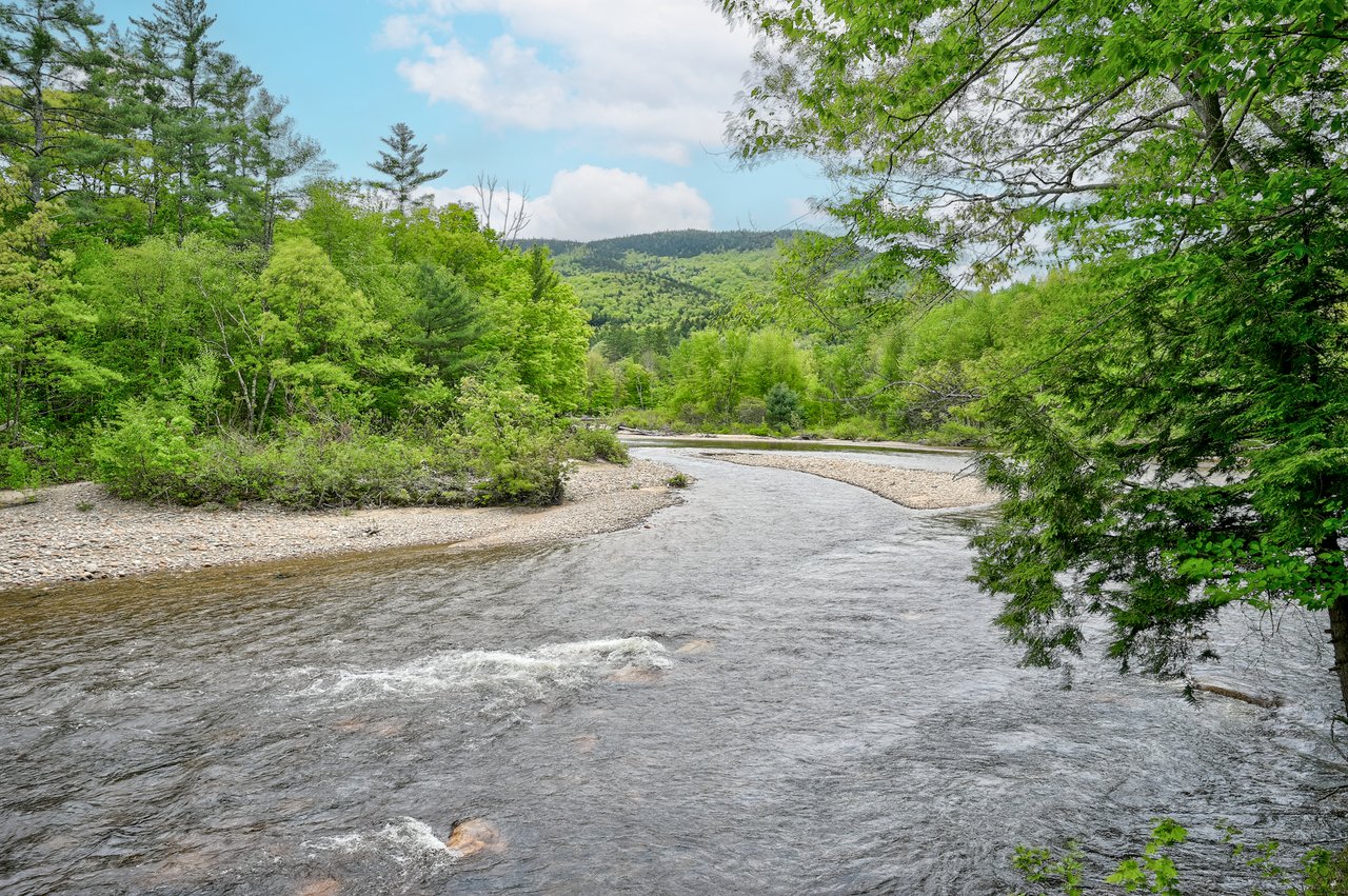 Birch View by the Saco