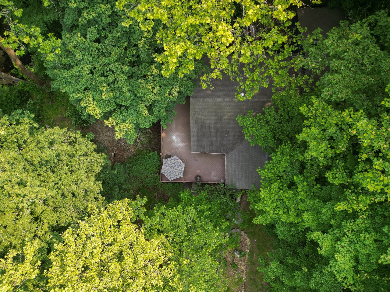 122 Buffalo Hollow Rd