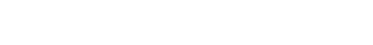 Light Logo