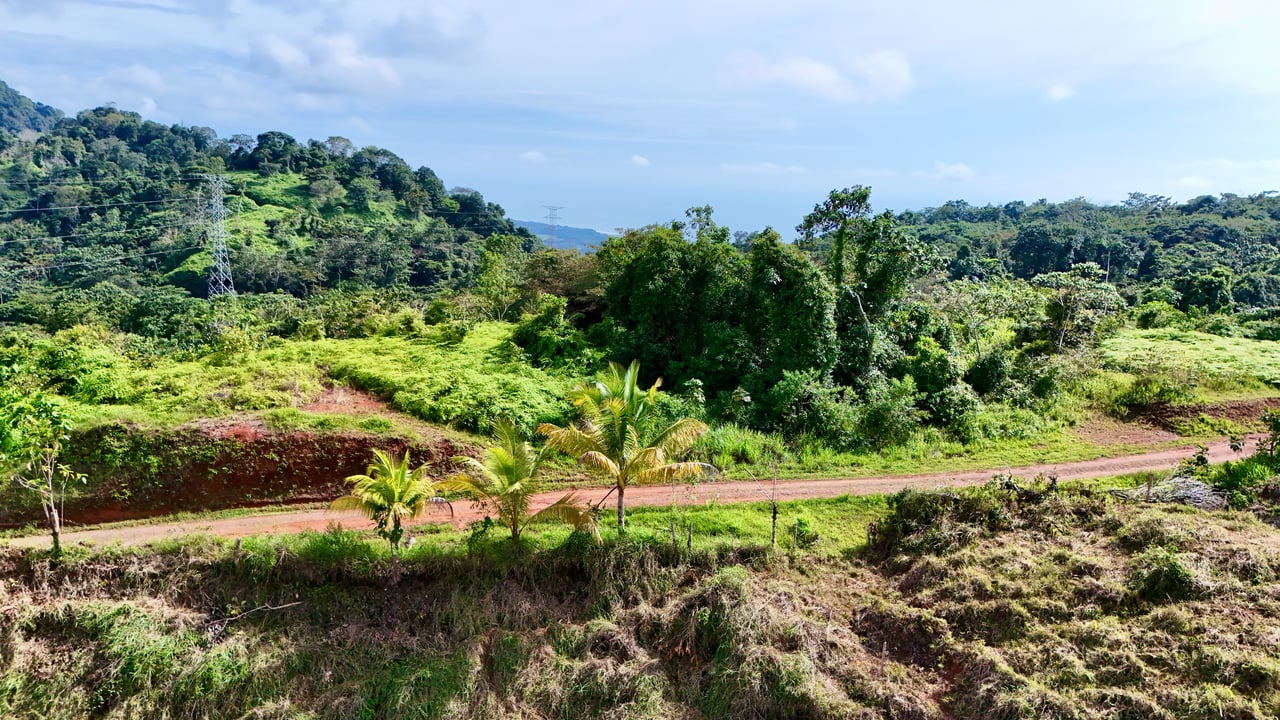 Off-Grid Ocean View Lot | 1.7 Acres in Las Nubes Matapalo Hills 