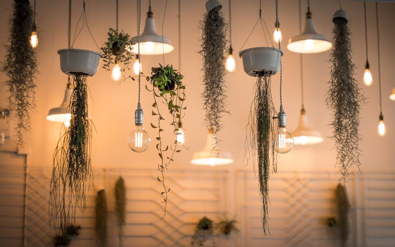 How to Use Lighting to Transform Your Living Space