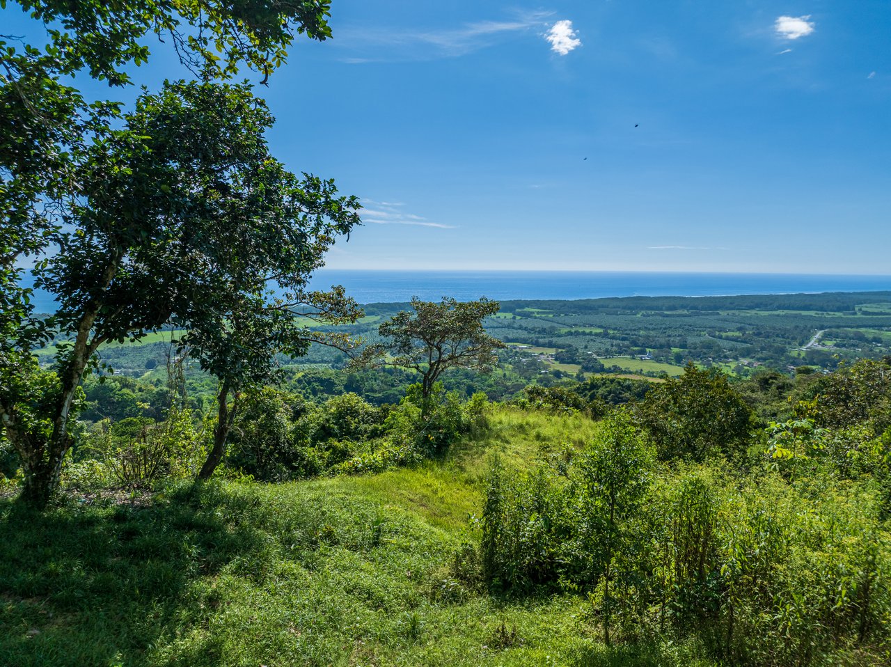 A Unique Ocean View Estate Designed for Visionary Investors
