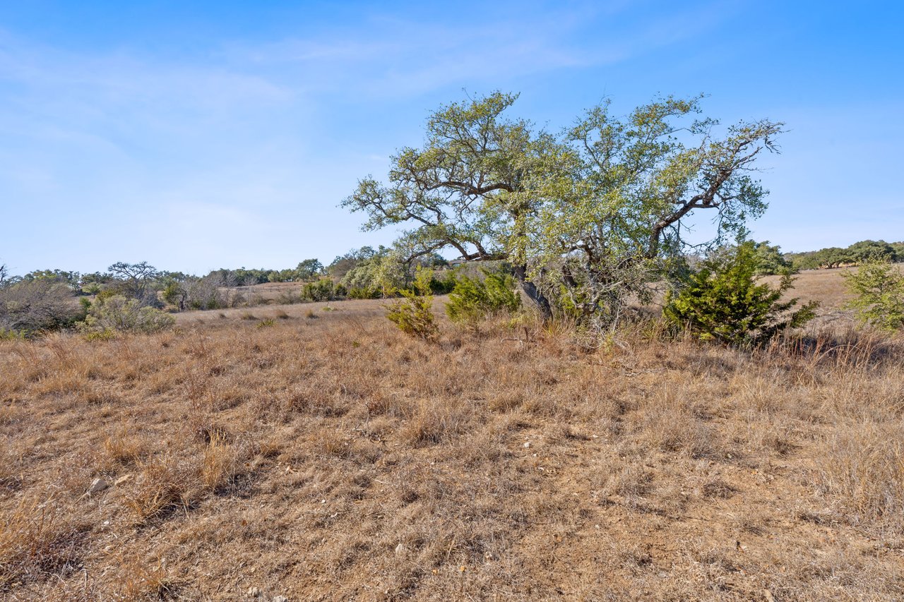 100 Dario Dr. Dripping Springs  Tx 78620