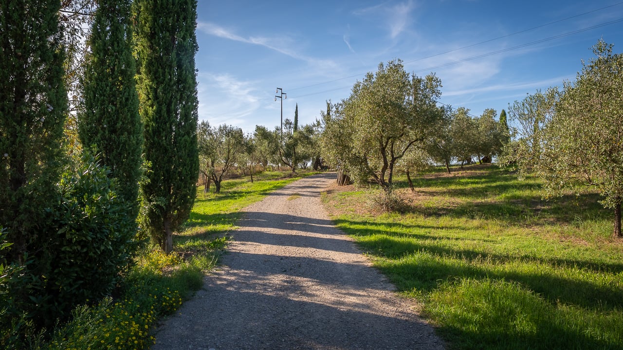IL LEONE DEL FIORA