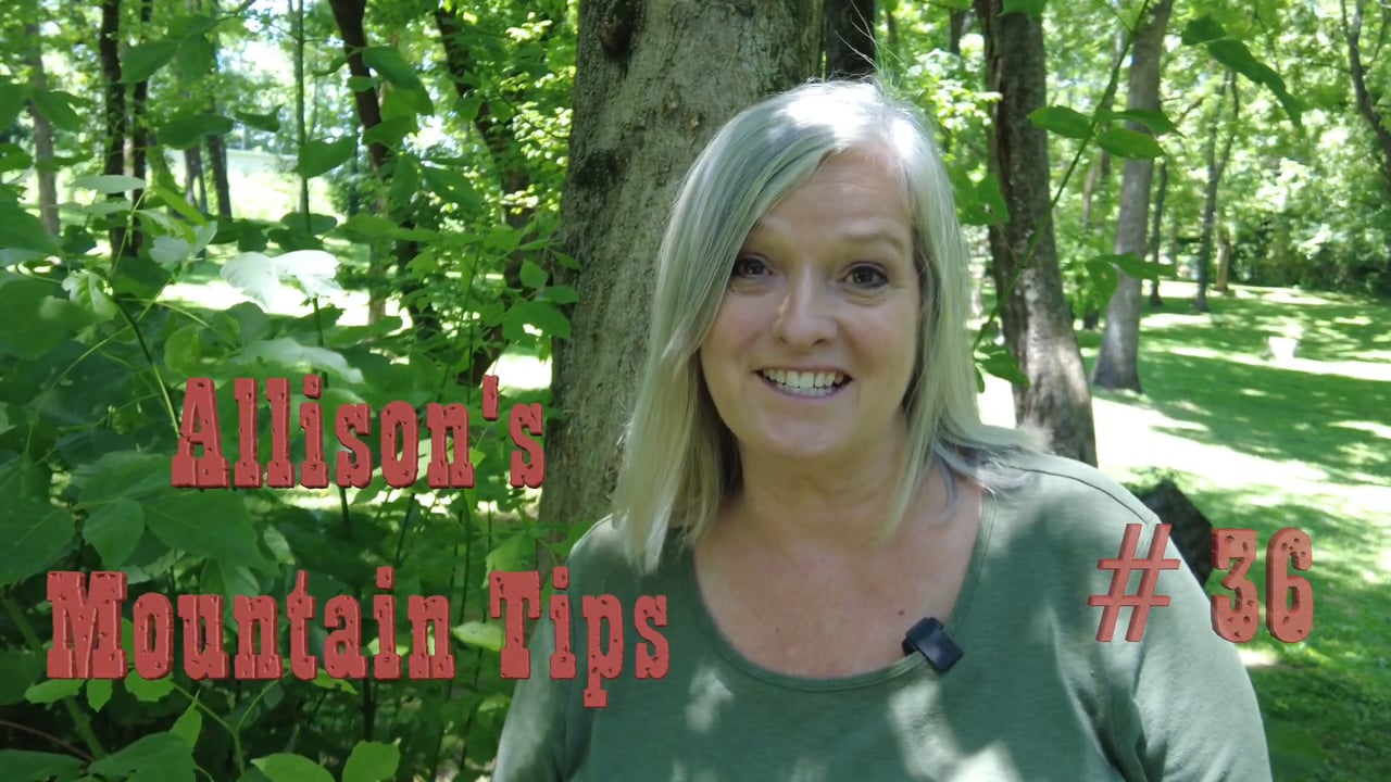 Allison's Mountain Tip #36
