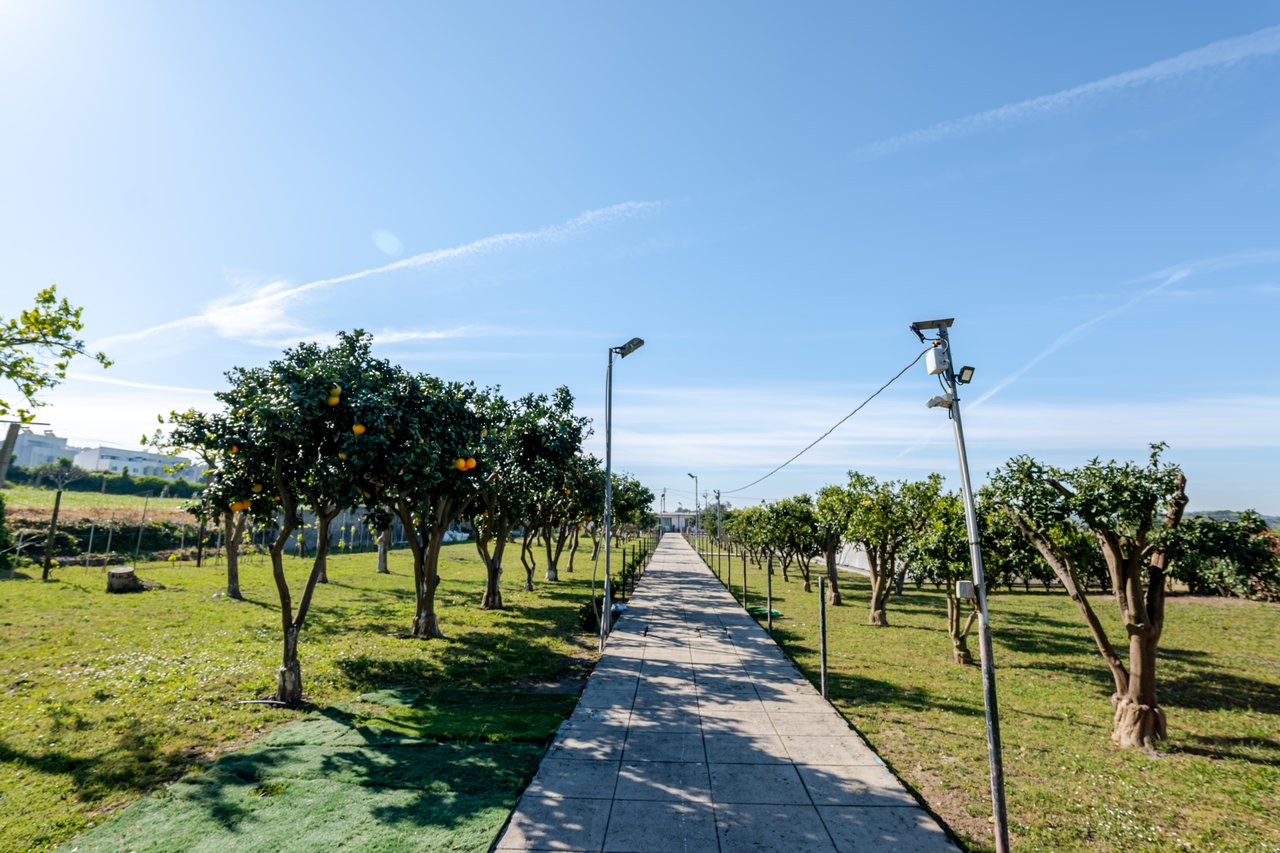 Exceptional Renovated Estate with 4 Residences, Pool & Orchard Near Porto