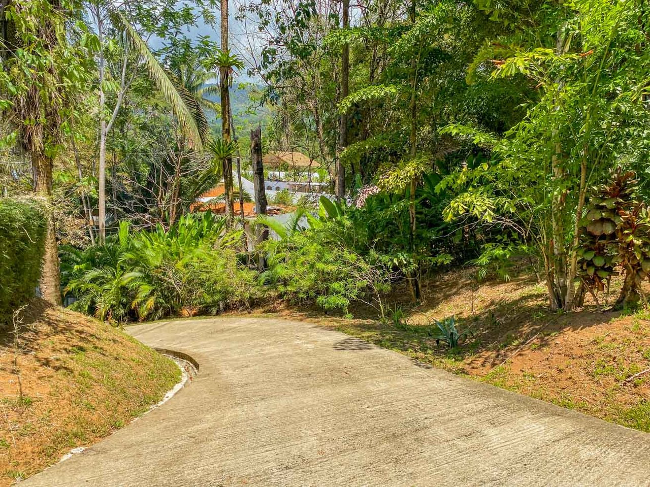 Uvita Jungle Home for Sale | Private Creek Lot Near Marino Ballena