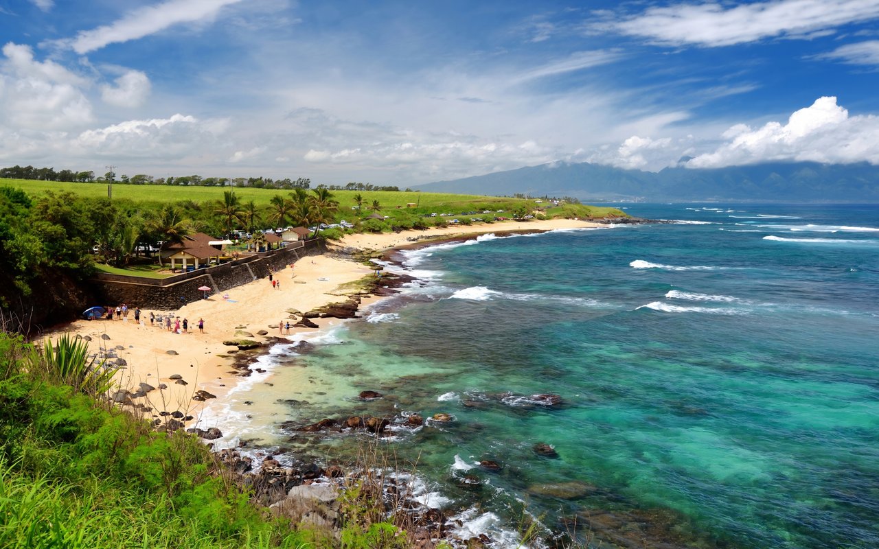 Paia