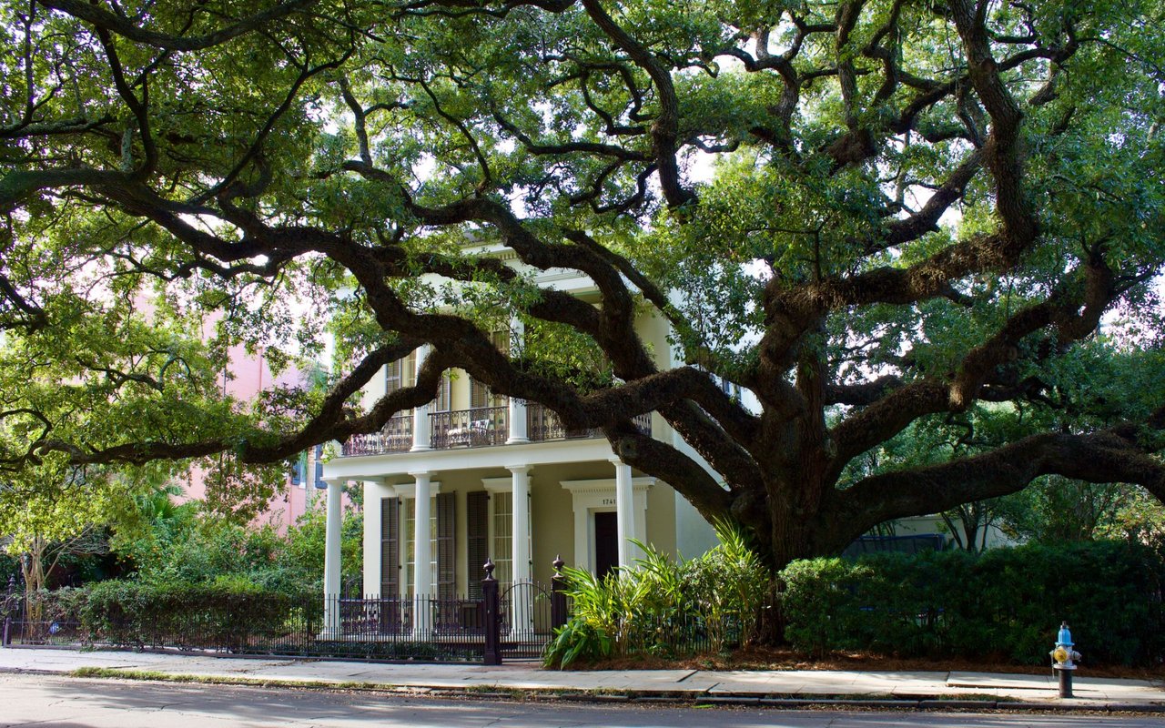 Garden District