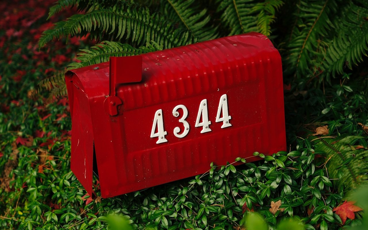 Head From The Hills: Oakland, Berkeley Flatlands Gaining Popularity