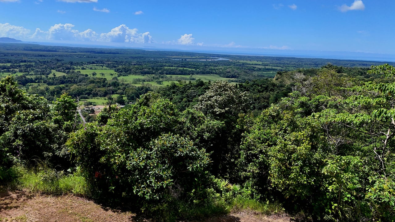  FIRE SALE! Two Adjacent Ocean-View Lots Sold Together – Chontales, Osa (10,487 m² + 9,844 m²)