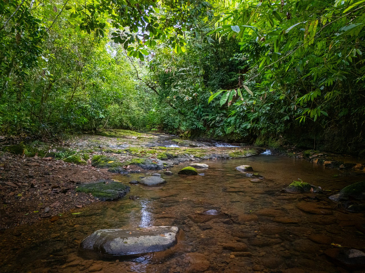 Serene Luxury Home w/2 Guest Villas, River, Swimming Holes on 2.3 acres