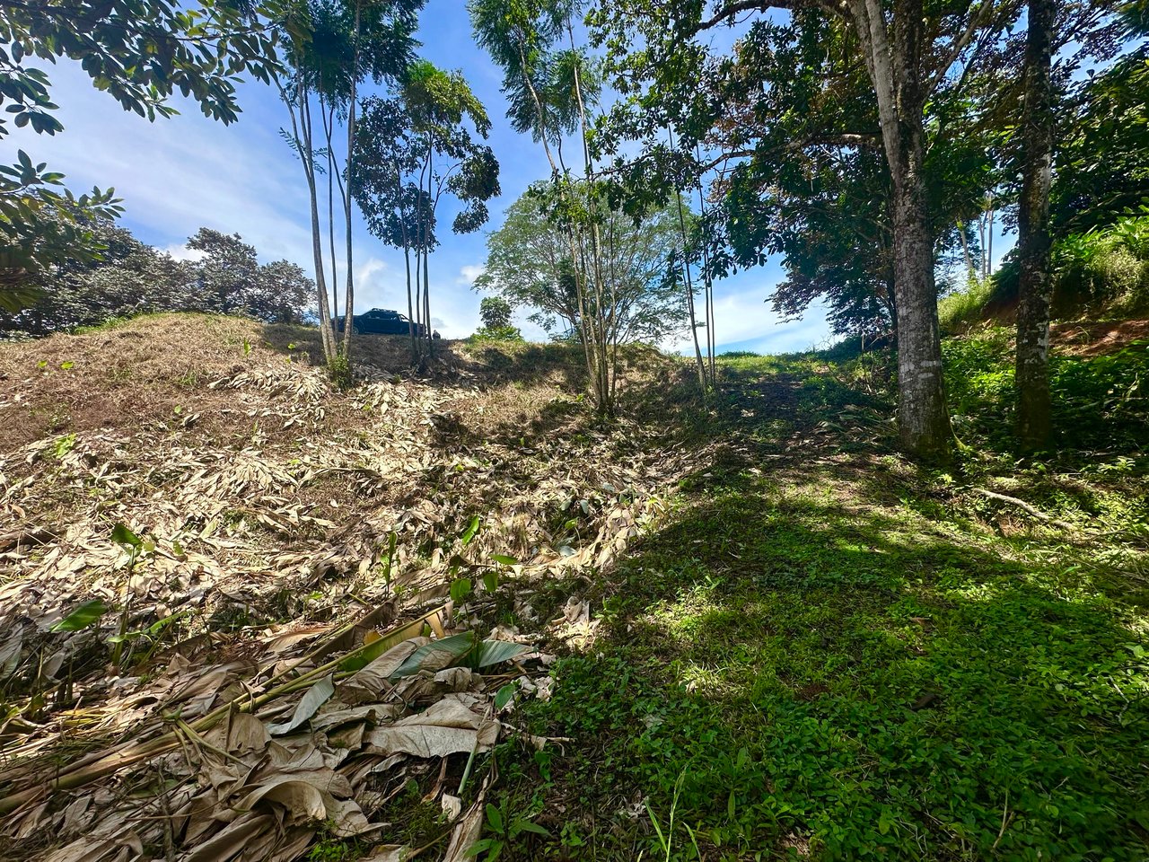 Build-Ready Lot in Ojochal’s Calle Cacique | Easy Access & Stunning Mountain Views