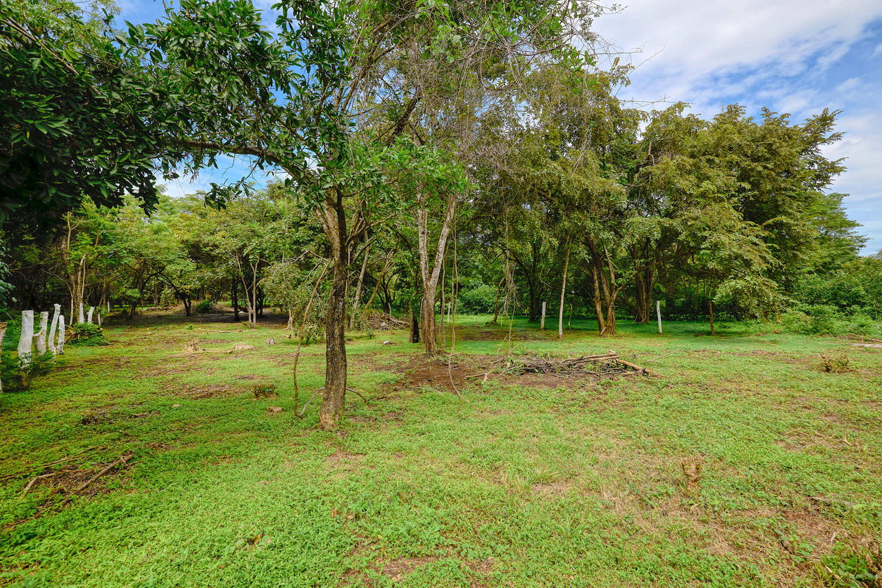 Prime Lot on Public Road | Ready for Construction in Playa Avellanas