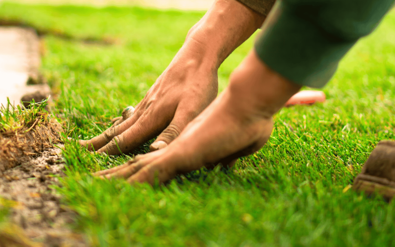 The Role of Landscaping in Enhancing Your Home's Aesthetic Appeal