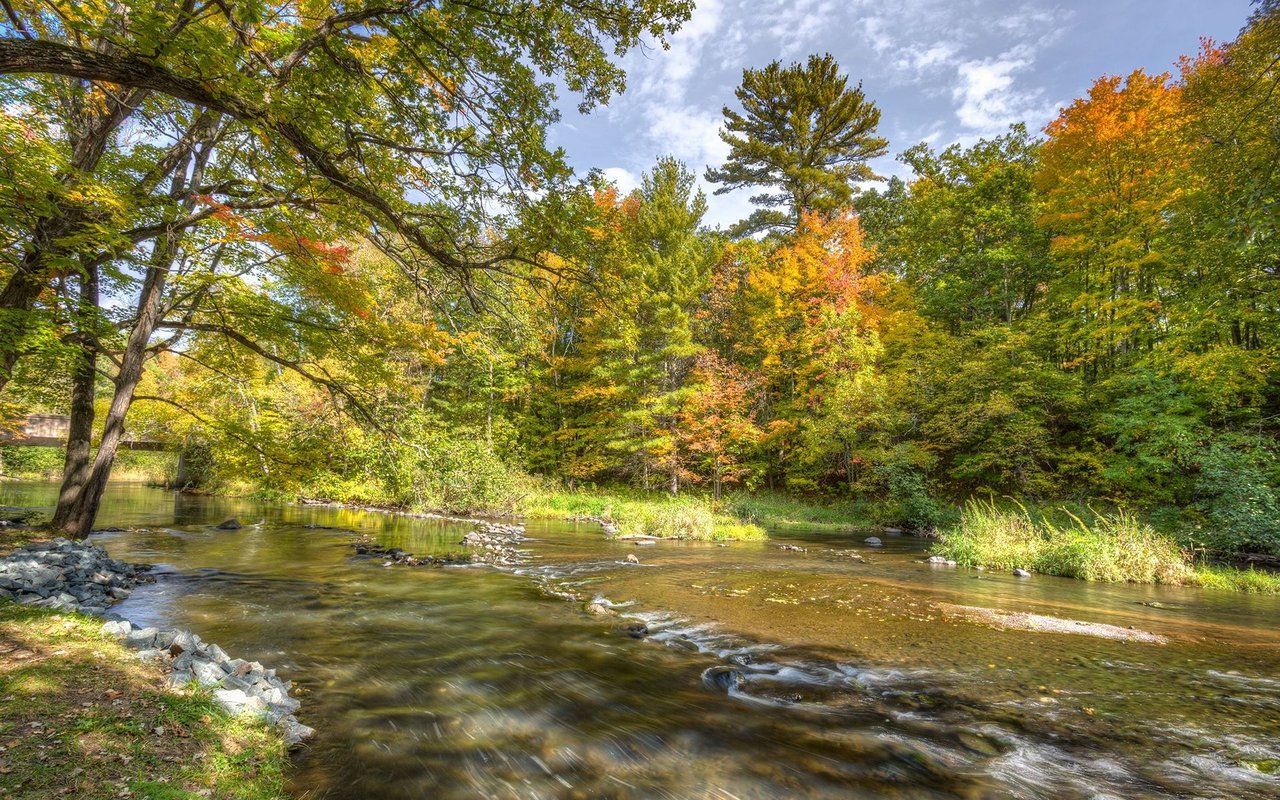 A shallow creek winds beneath trees with yellow and orange autumn leaves.