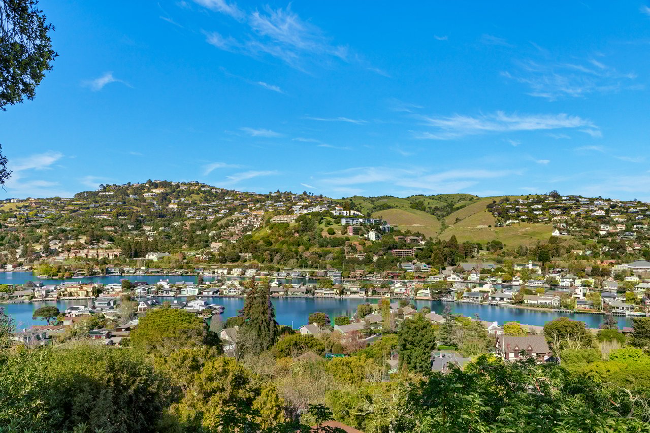 Contemporary Gem on Belvedere Island