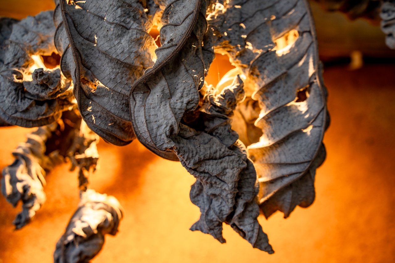 4 Bedroom 2 Bathroom Uvita Home