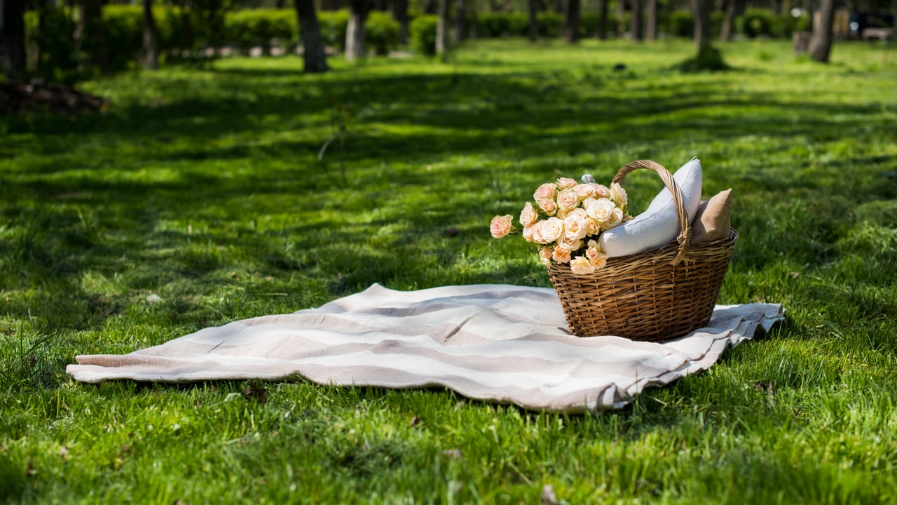 Best Picnic Settings in Sonoma This May