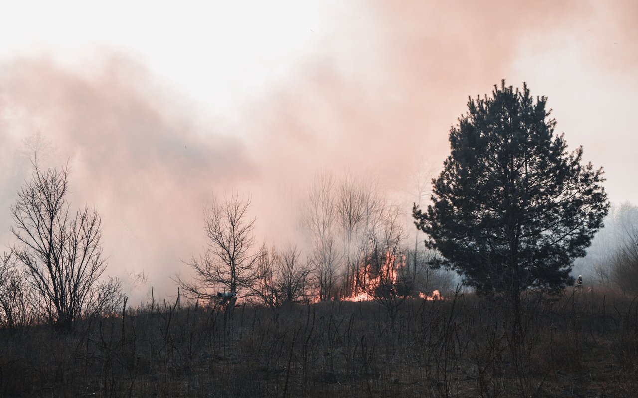 Understanding Your Homeowner's Insurance Policy in Case of A Wildfire