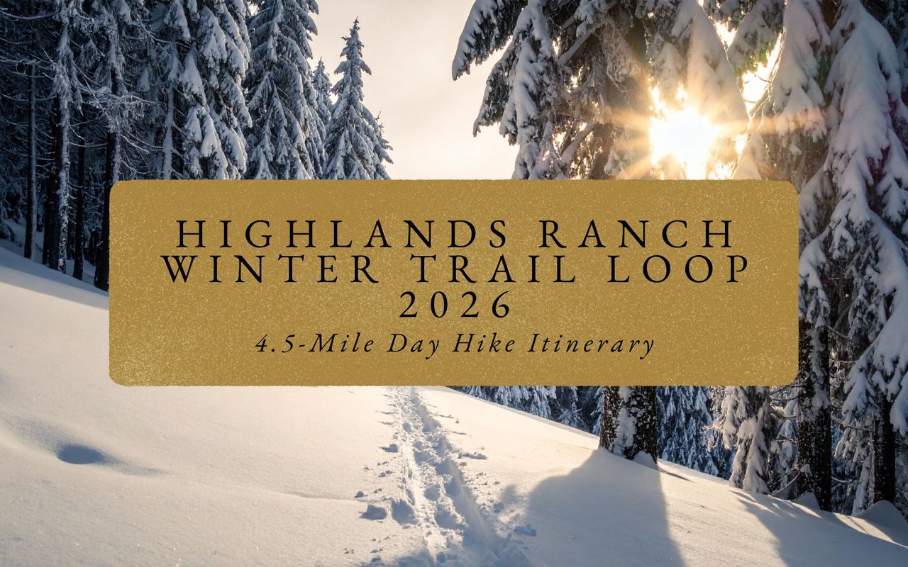 Snow-dusted trail entrance in Highlands Ranch Eastridge Cove Park, evergreen trees framing path under clear winter sky.