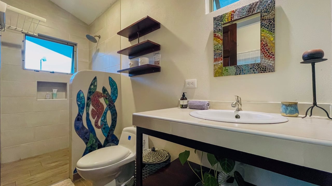 Investment Opportunity! Eco-Friendly Rental Property Near Playa Chaman and Playa Colonia