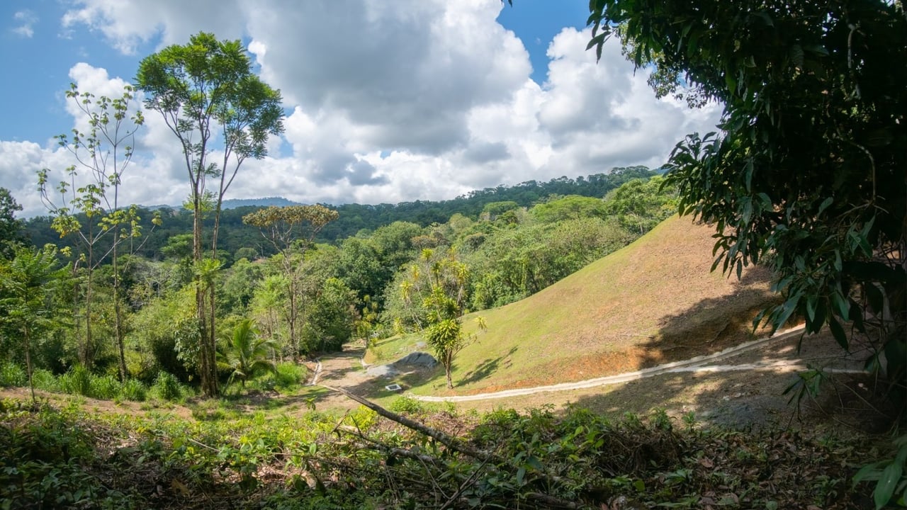 Tropical Sanctuary Above Uvita: 5-Acre Jungle Estate with incredible Mountain Views