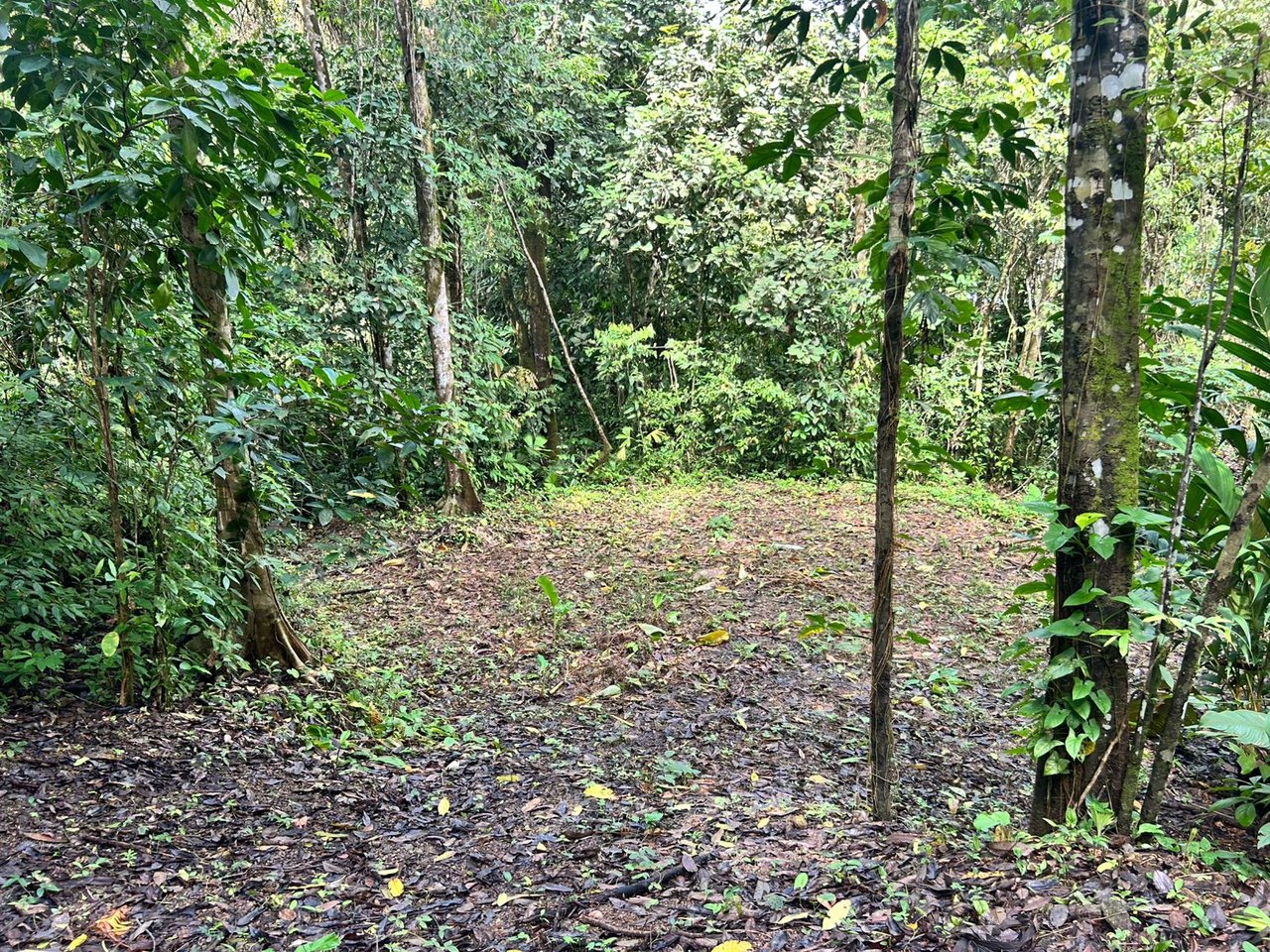1.4-acre gated lot in Uvita.