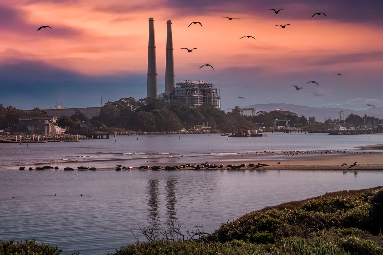 Moss Landing