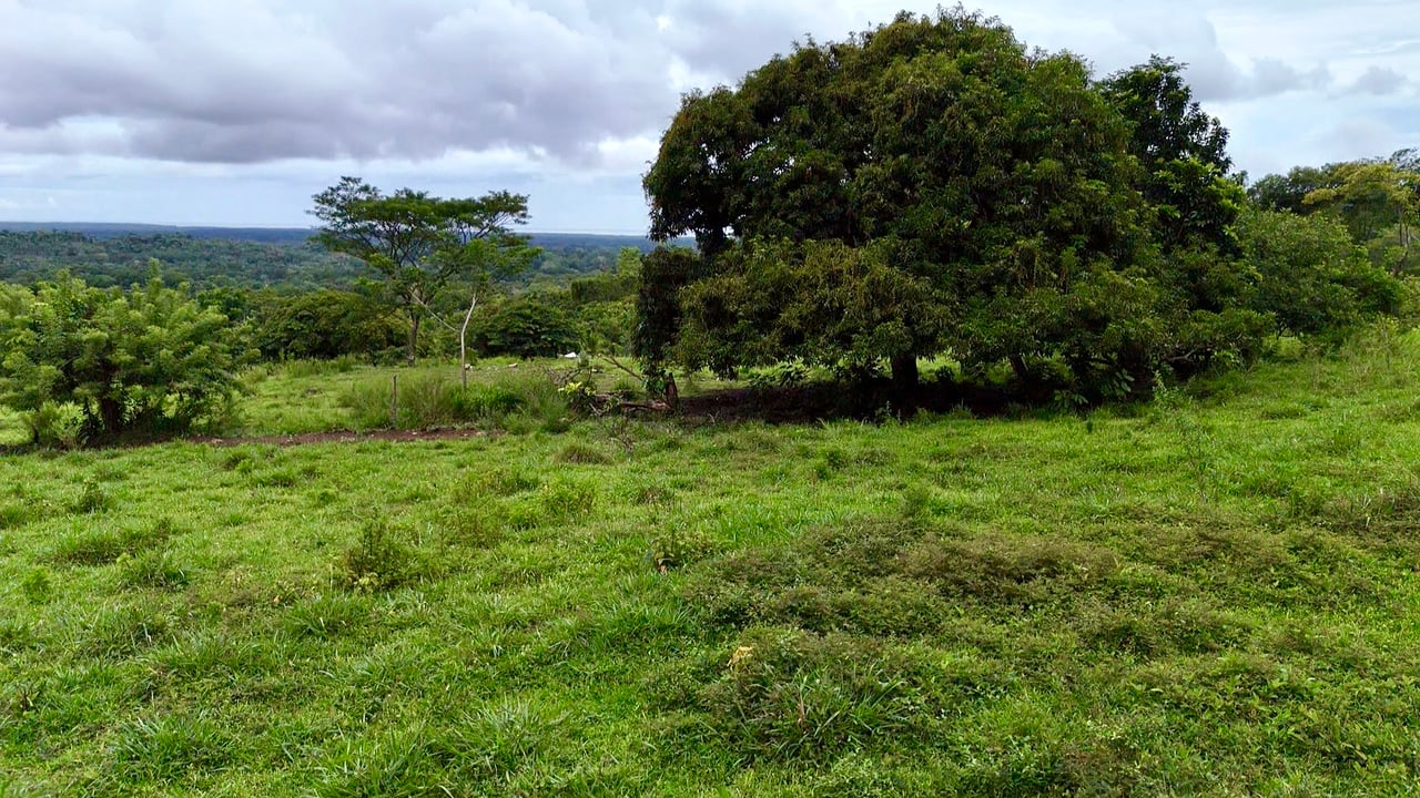 Ocean View Sanctuary in San Buenas – 4.94 Acres of Pastures & Easy Accessaccess