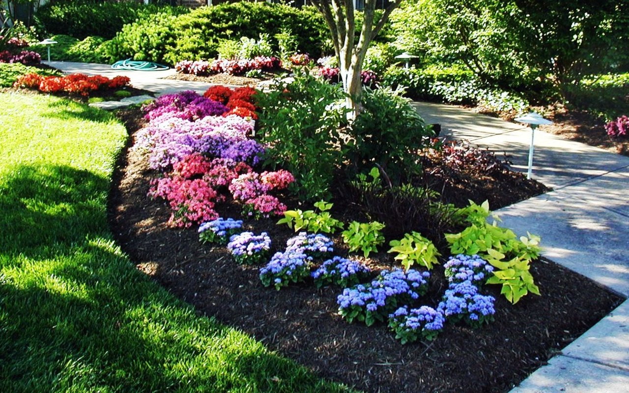 Five Tips For Creating Successful Flower Beds