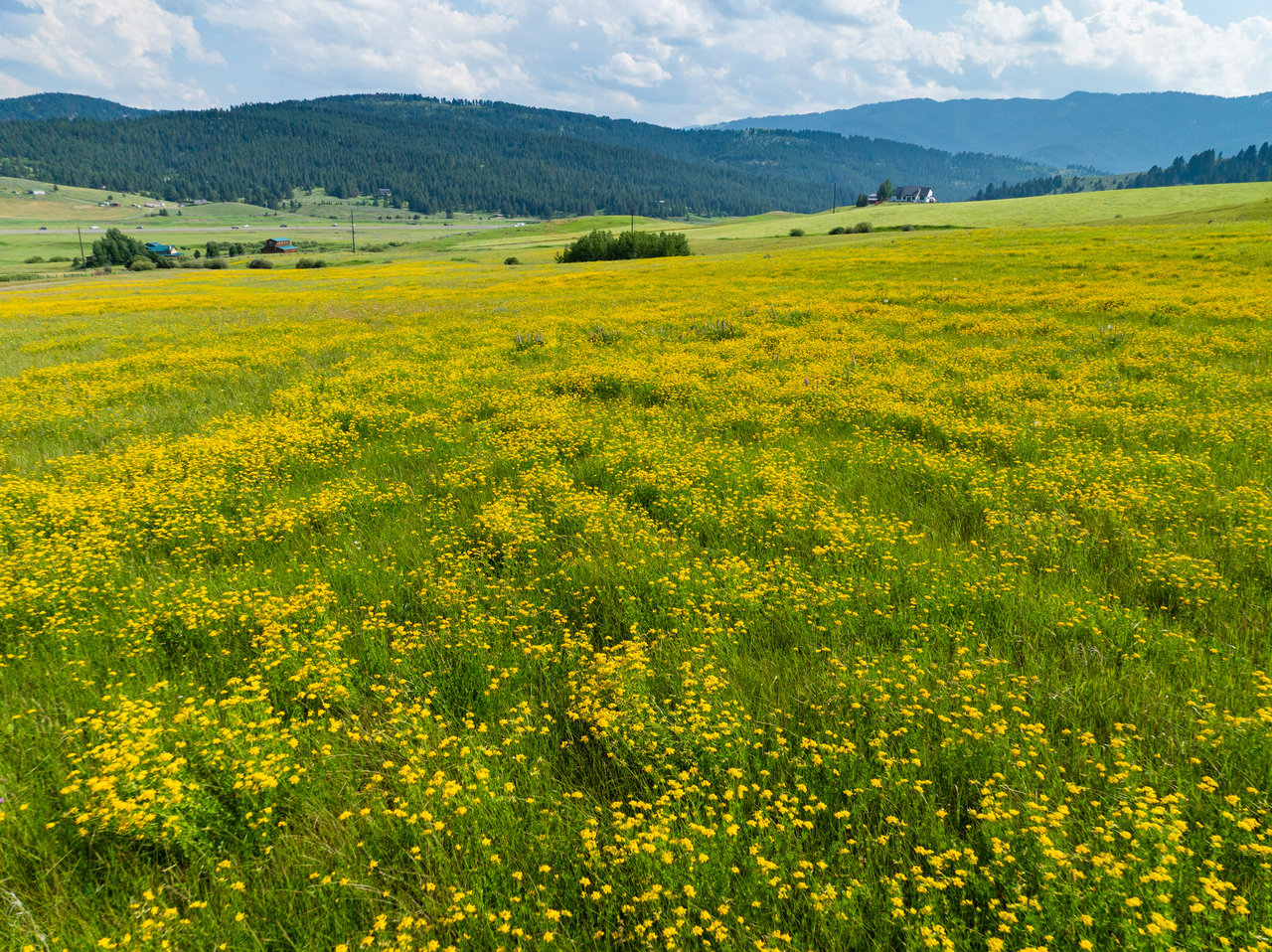 The Montana Trifecta: 40 Acres, Spring Creeks, and Powder Days Minutes from Bozeman