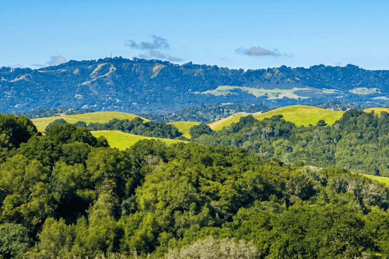 Best Neighborhoods for Families in Mill Valley