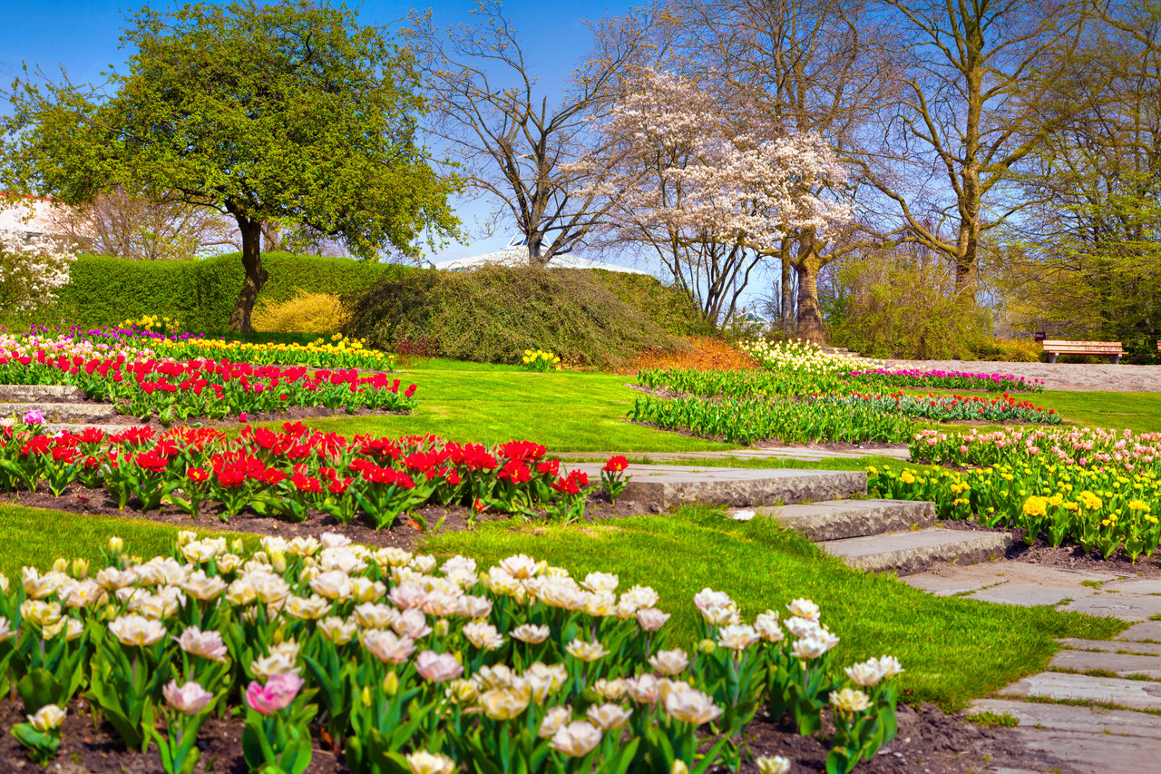 Spring park with colorful tulip beds, a green lawn, and stone paths.