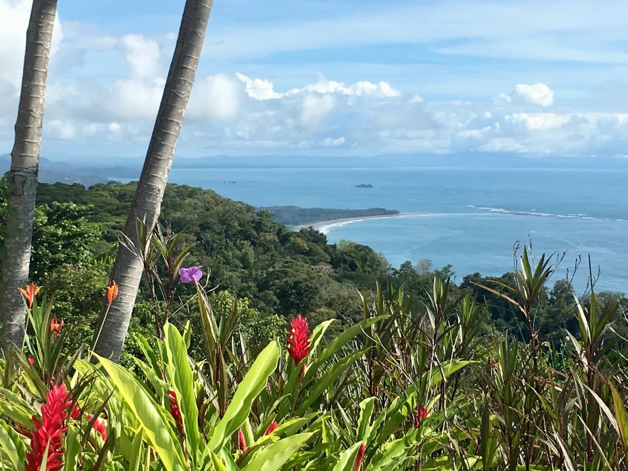 2 ACRES – 2 Bedroom Whales Tale Ocean View Home In Costa Verde Estates Gated Community!!!