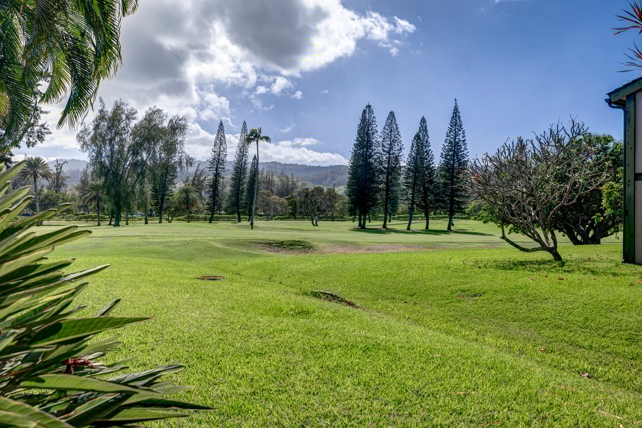 Turtle Bay Estates 146 West