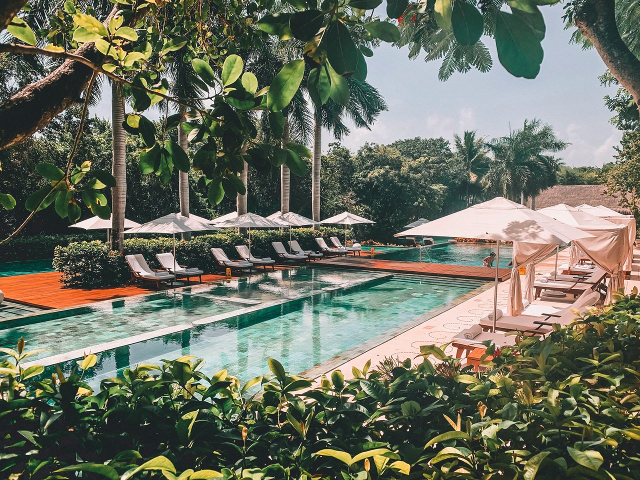 Tranquil pool area with sun loungers, white umbrellas, and tropical greenery under the shade of tall palm trees.