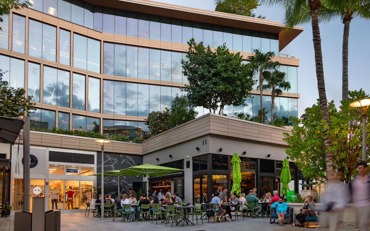 Coconut Grove