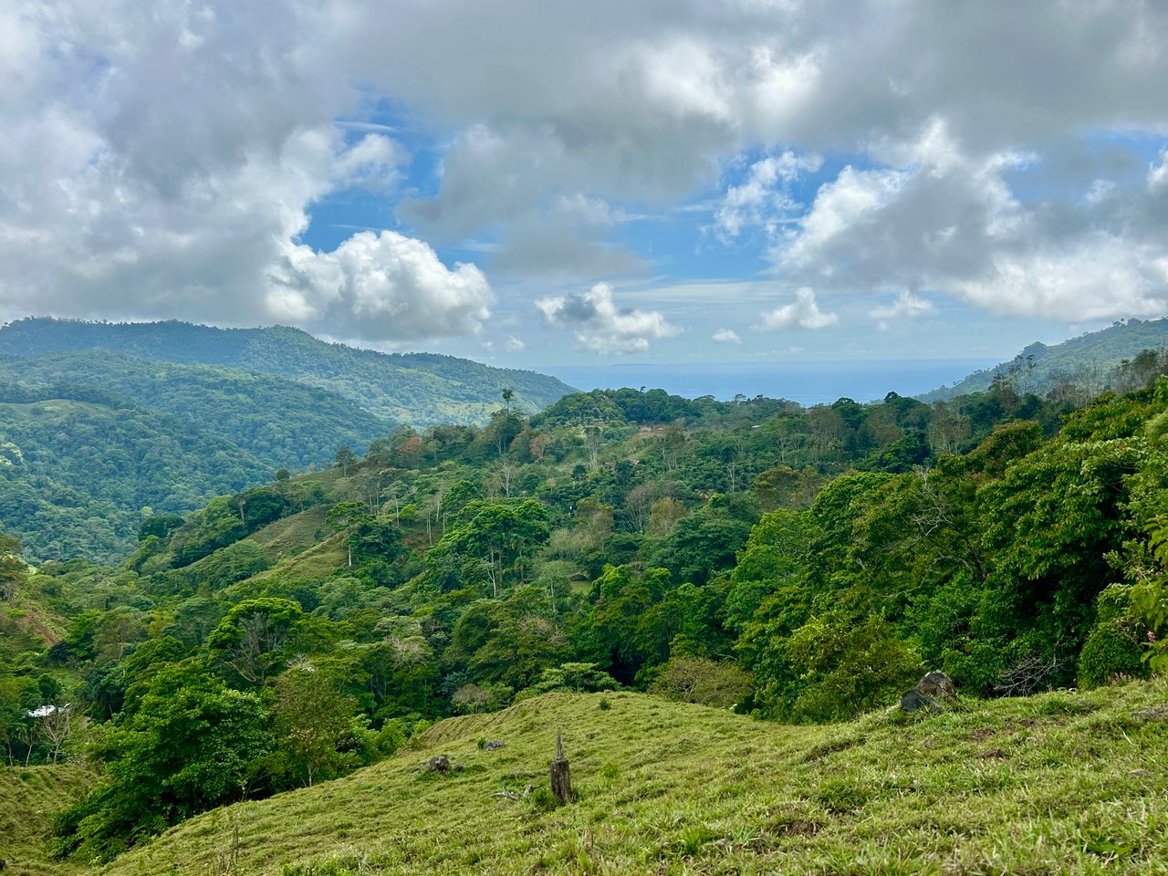 Gorgeous Land in San Luis Morete - Uvita - Over 17 Acres