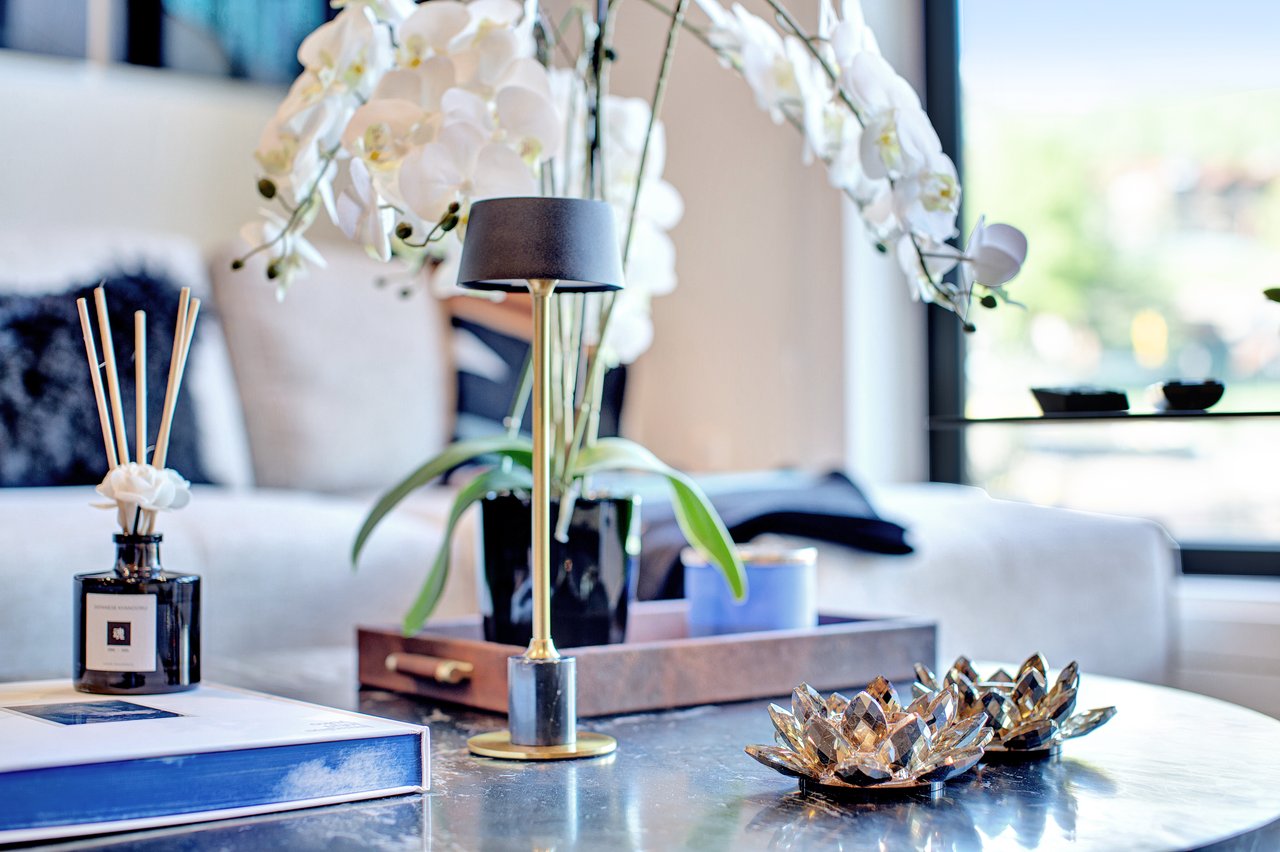 Modern Snowmass Retreat