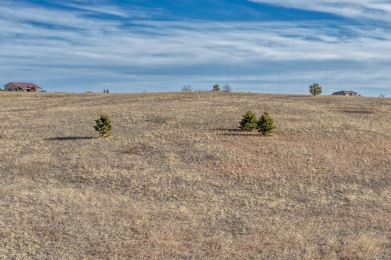 16670 Misfit Crew Heights