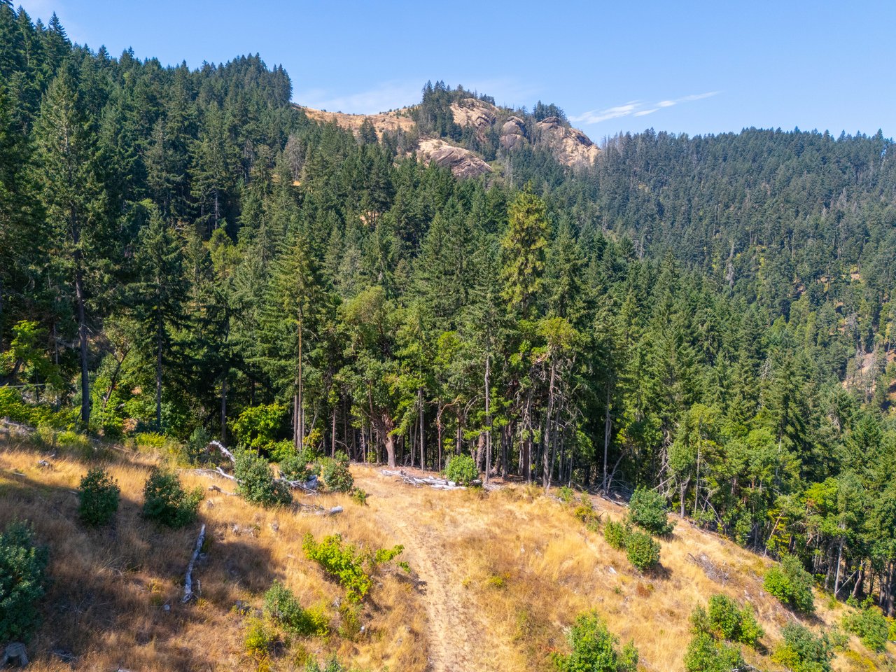 STRICKLAND BOULDER FOREST