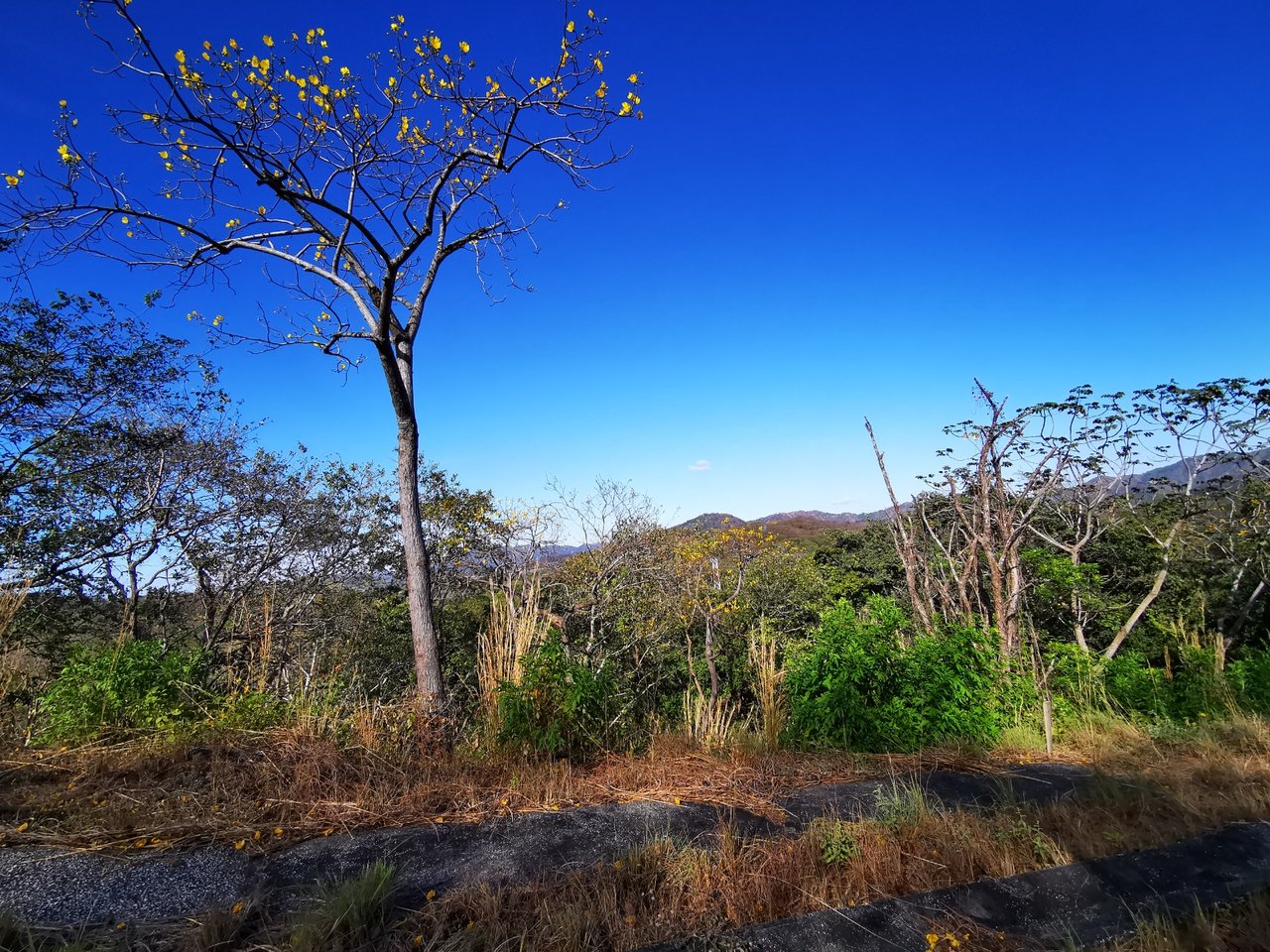Valle Escondido